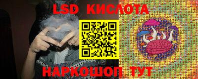 эйфоретик Кингисепп