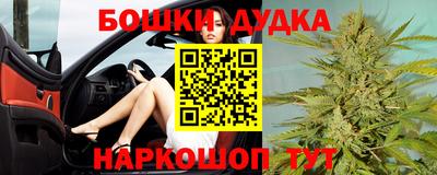 эйфоретик Кингисепп
